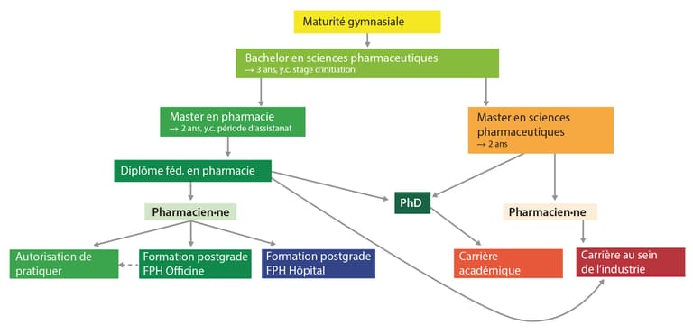 Aperçu des voies de formation en pharmacie 2023 Aperçu des voies de formation en pharmacie 2023