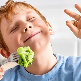 Hauptbild astrea November.jpg Hauptbild astrea November.jpg