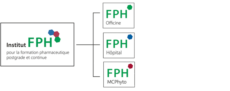 Organigramme FPH
