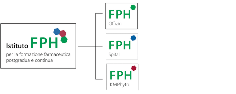 organigramma FPH organigramma FPH