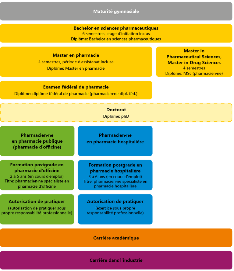 Les différents parcours de formation en pharmacie
