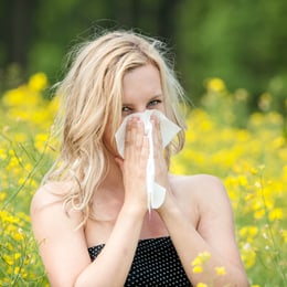Allergie Allergie